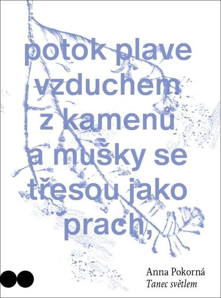 Levně Tanec světlem