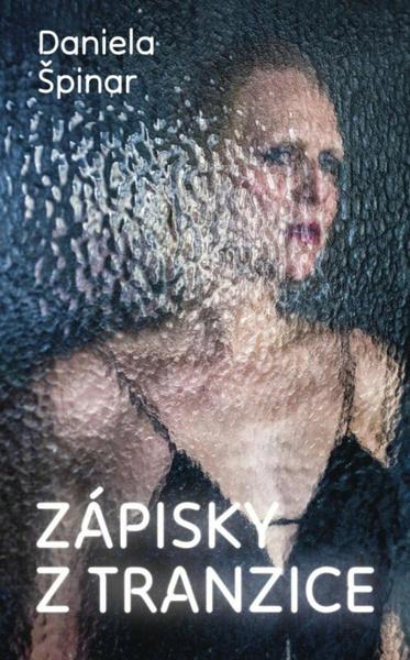Levně Zápisky z tranzice