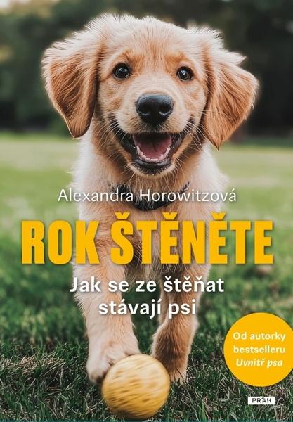 Levně Rok štěněte