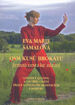 Osm kusů brokátu - 9788075113962
