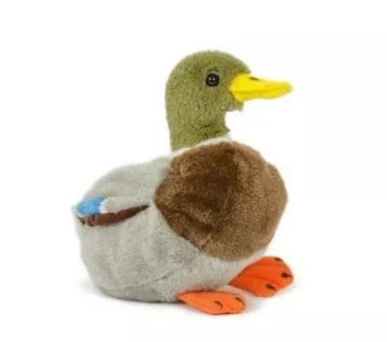 Levně Kačer kachny divoké plyš 18 cm
