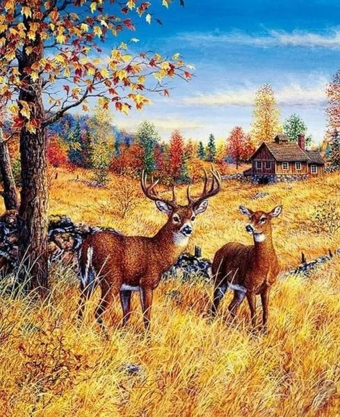 Levně Diamantové malování Jeleni na poli 30x40cm