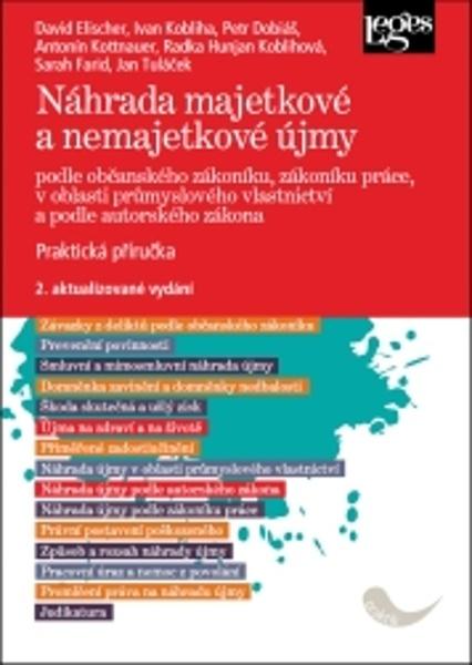 Náhrada majetkové a nemajetkové újmy - 9788075027658