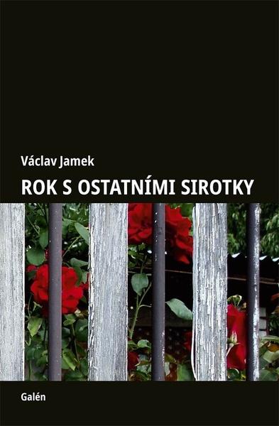 Levně Rok s ostatními sirotky