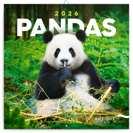 Poznámkový kalendář Pandy 2026 - nástěnný kalendář