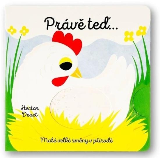 Levně Právě teď… Malé velké změny v přírodě