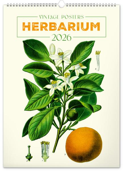 Vintage plakáty Herbář 2026 - nástěnný kalendář
