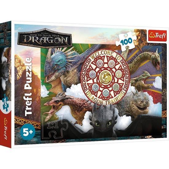 Levně Puzzle Jak vycvičit draka Draci s akci 100 dílků