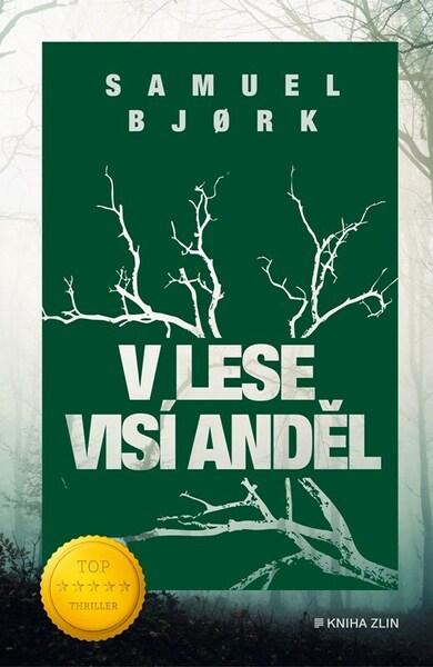 V lese visí anděl - 9788076629738