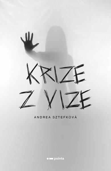 Levně Krize z vize