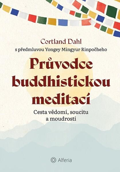 Levně Průvodce buddhistickou meditací
