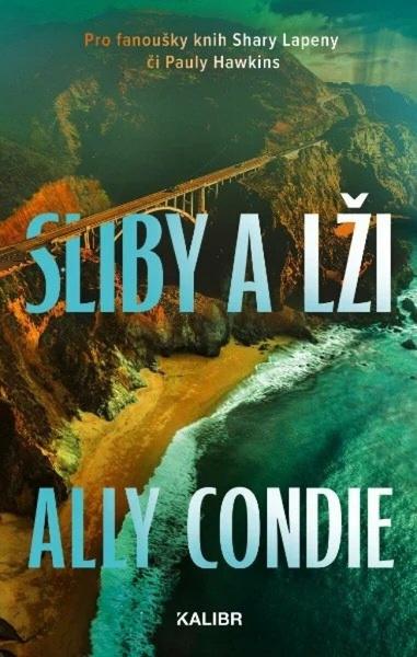 Sliby a lži - 9788028406998