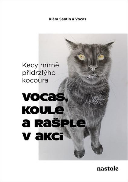 Kecy mírně přidrzlýho kocoura - 9788074485312