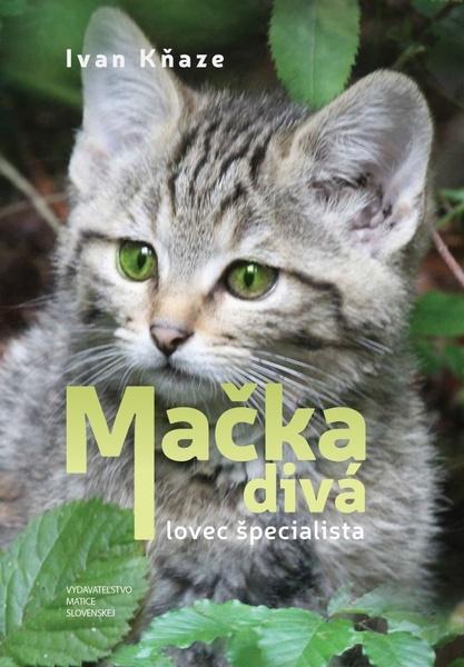Levně Mačka divá