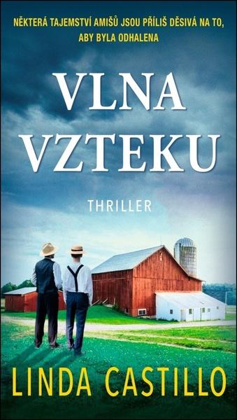 Levně Vlna vzteku