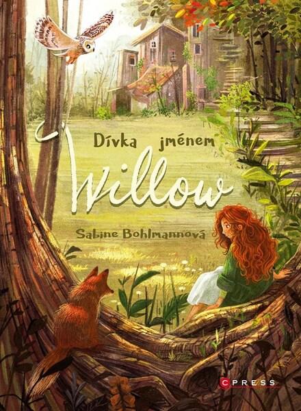 Levně Dívka jménem Willow