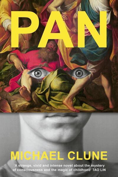 Pan - 1529969891