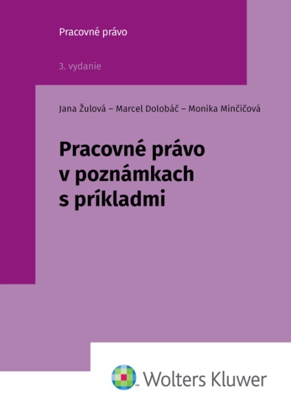 Levně Pracovné právo v poznámkach s príkladmi