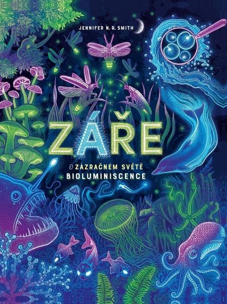 Záře - 9788027761623