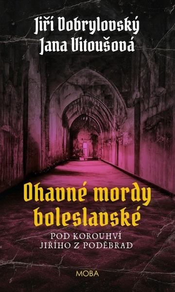 Levně Ohavné mordy boleslavské