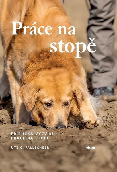 Levně Práce na stopě
