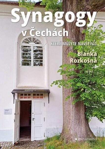 Levně Synagogy v Čechách