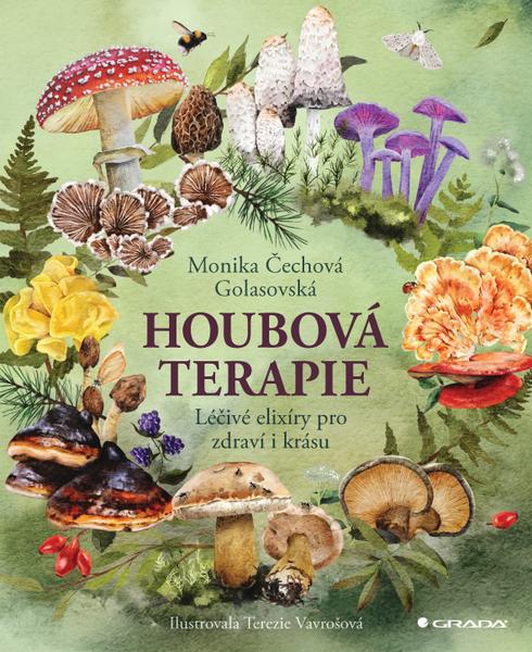 Levně Houbová terapie