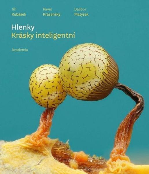 Hlenky - 9788020036414