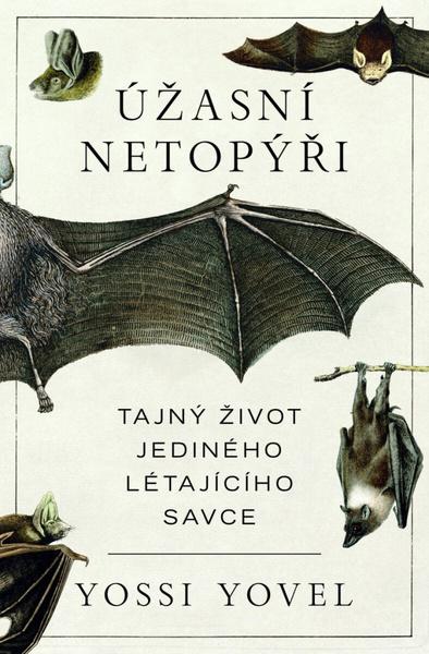 Levně Úžasní netopýři