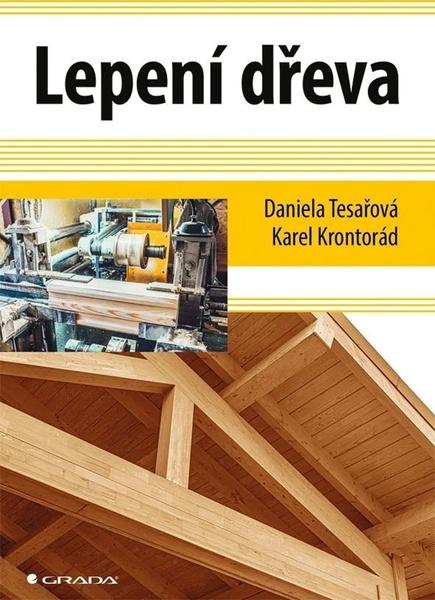 Lepení dřeva - 9788027153855