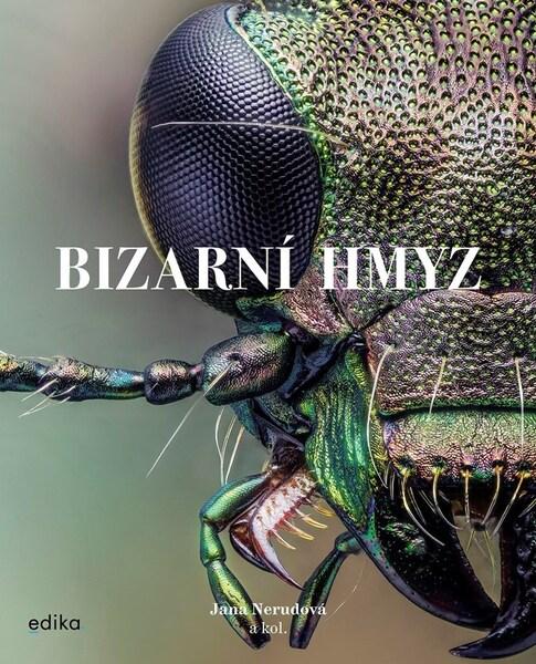 Bizarní hmyz - 9788026621881