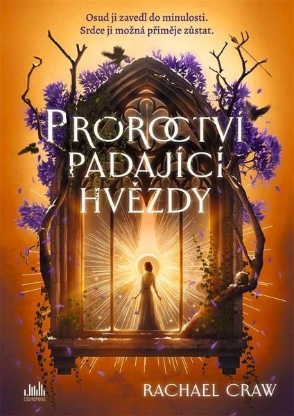 Proroctví padající hvězdy - 9788027161102