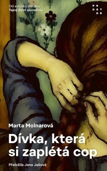 Dívka, která si zaplétá cop - 9788072606771
