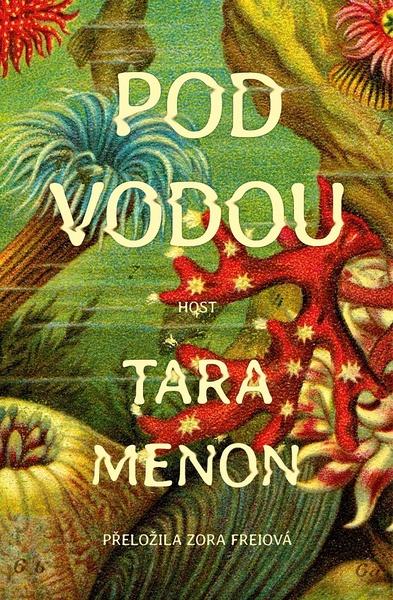 Pod vodou - 9788027528585