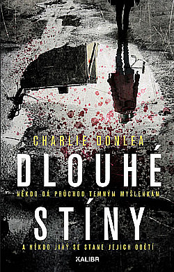 Dlouhé stíny - 978-80-242-6500-1