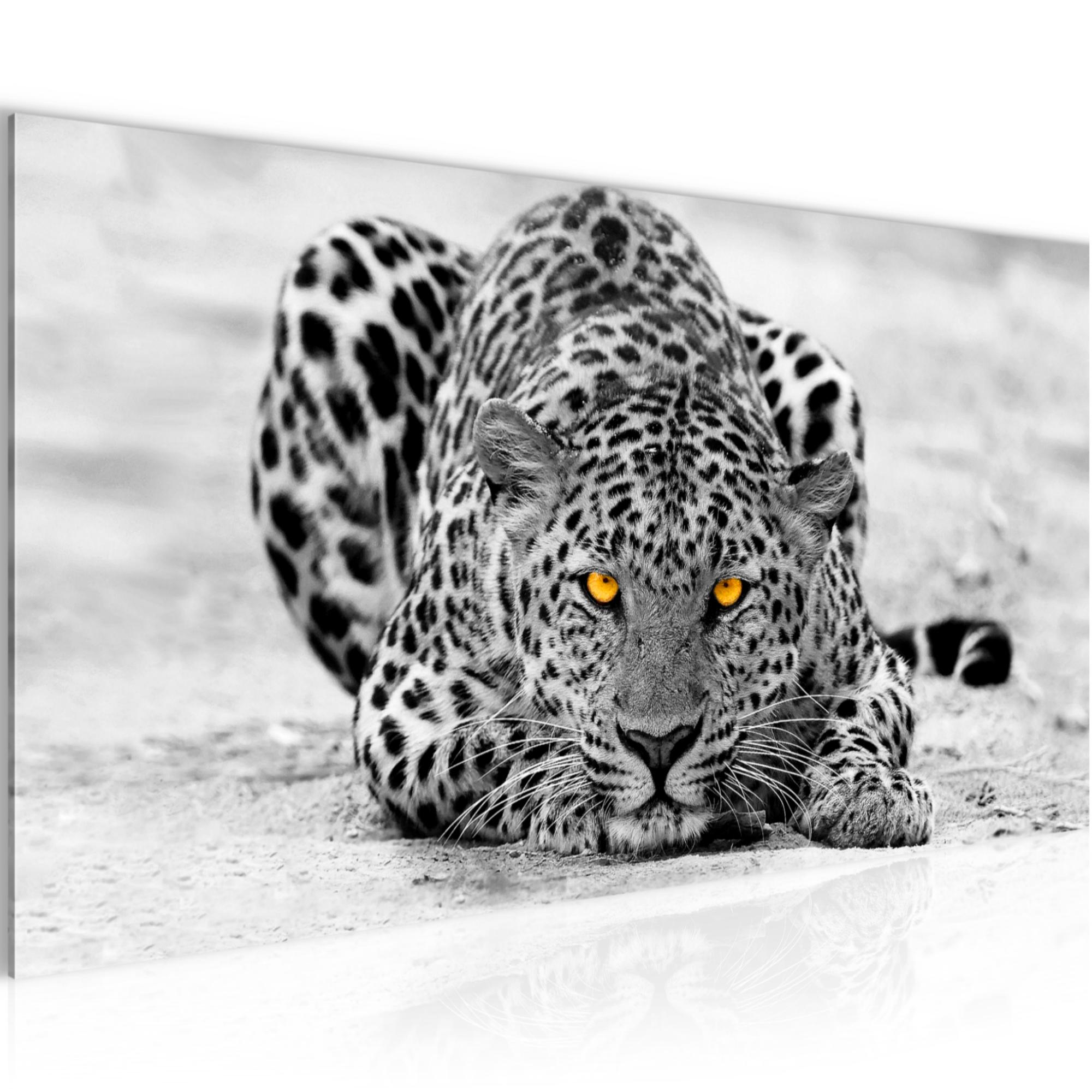 Wandbild XXL Modern Wohnzimmer - Afrika Leopard - Schlafzimmer Bilder