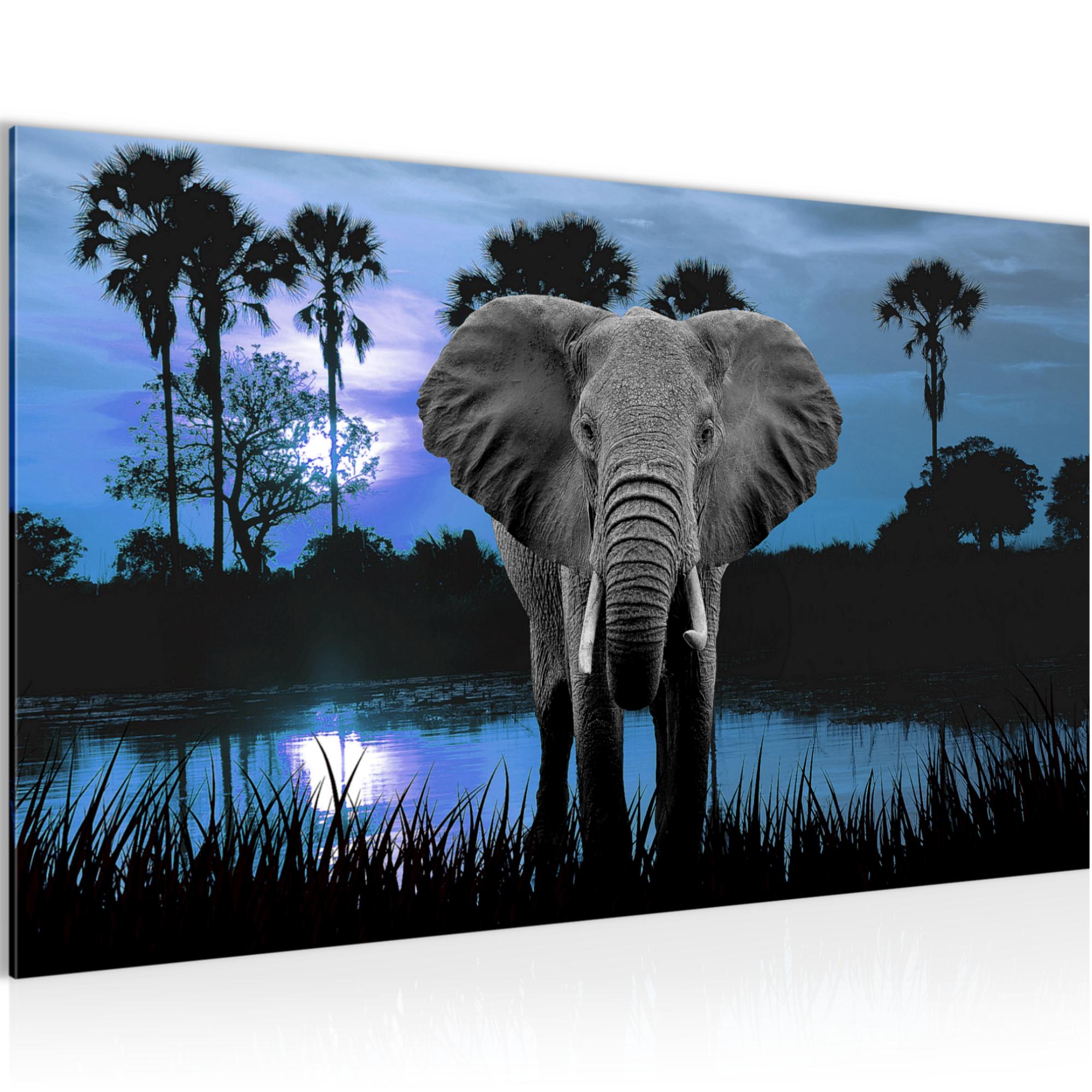 Wandbilder Wohnzimmer - Afrika Elefant Schlafzimmer - Vlies Leinwand
