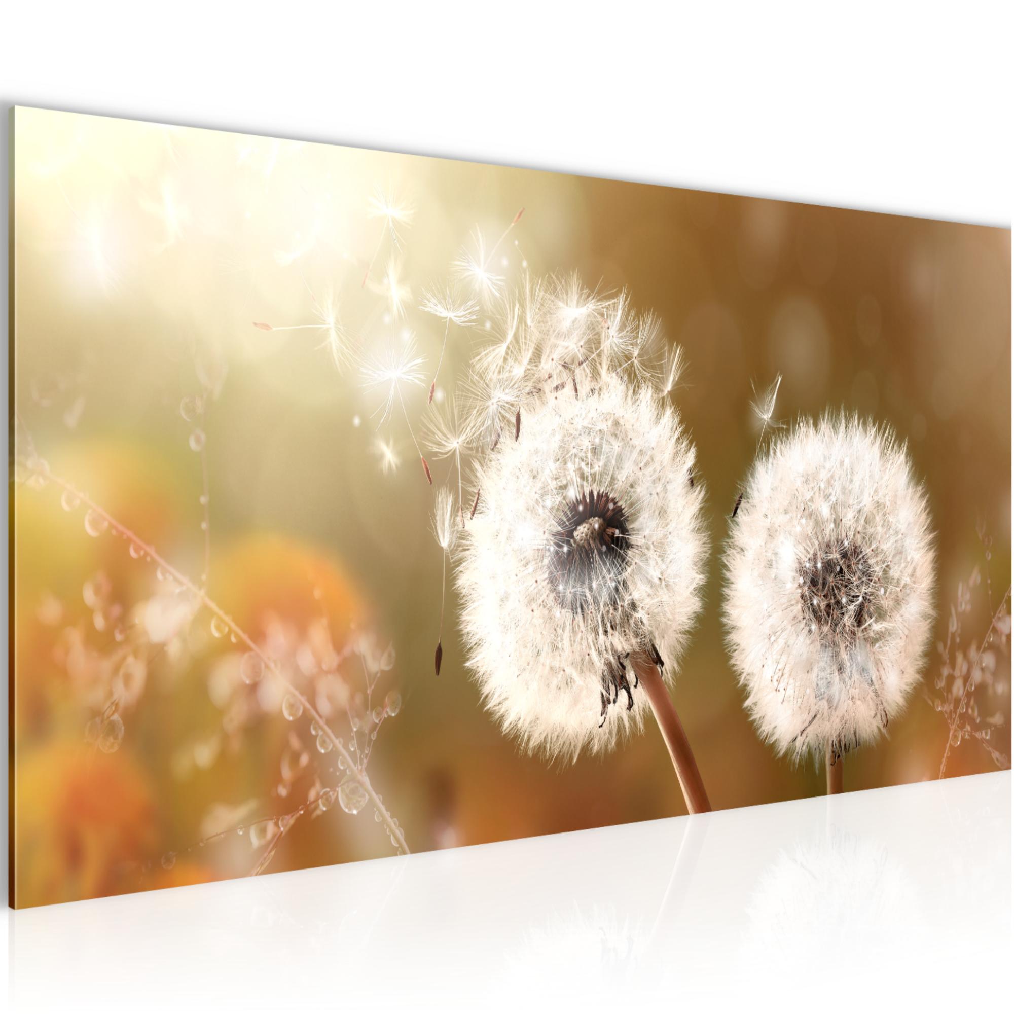Wandbilder Wohnzimmer - Pusteblume Schlafzimmer - Vlies Leinwand Bild