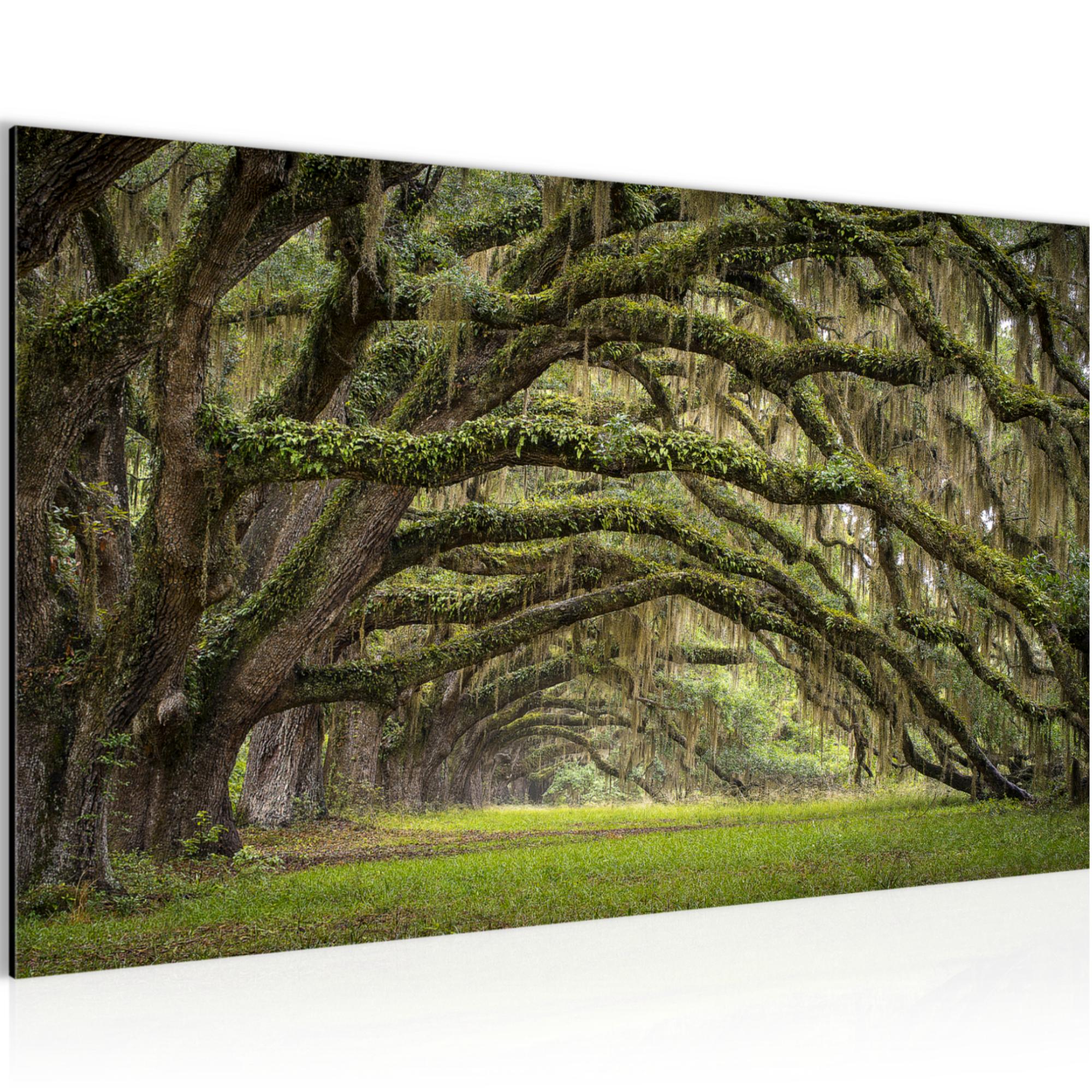 Wandbilder Wohnzimmer – Wald Schlafzimmer Vlies Leinwand Bild Modern