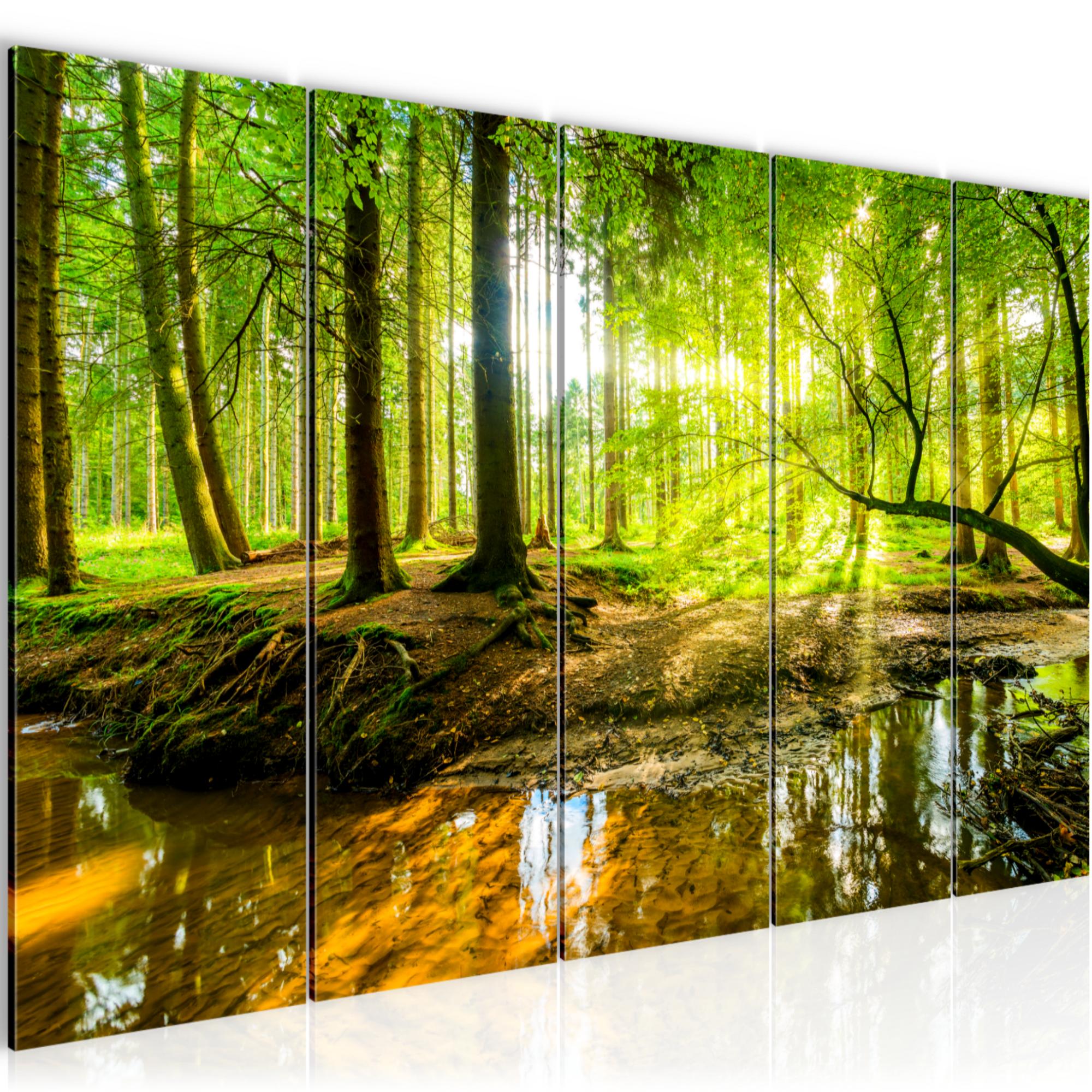 WANDBILDER XXL Wald Landschaft VLIES LEINWAND BILD Wohnzimmer