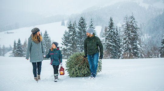 urlaubsangebote & packages