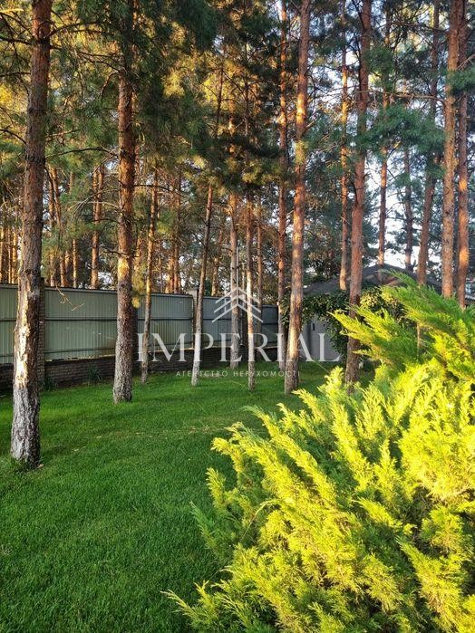 Будинок