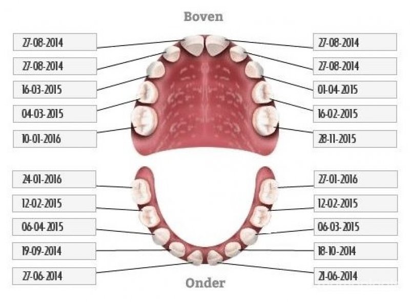 Blog 51 melkgebit eindelijk compleet! Mamaplaats
