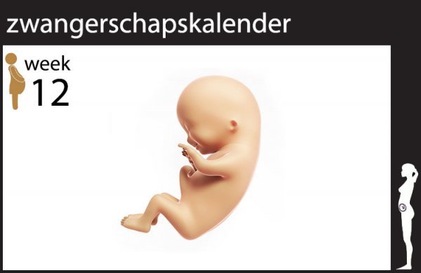 12 weken zwanger buikpijn