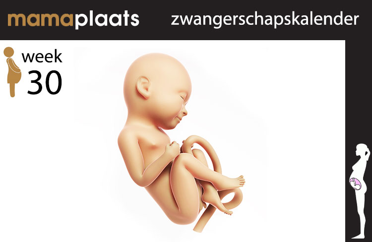 Blog header image