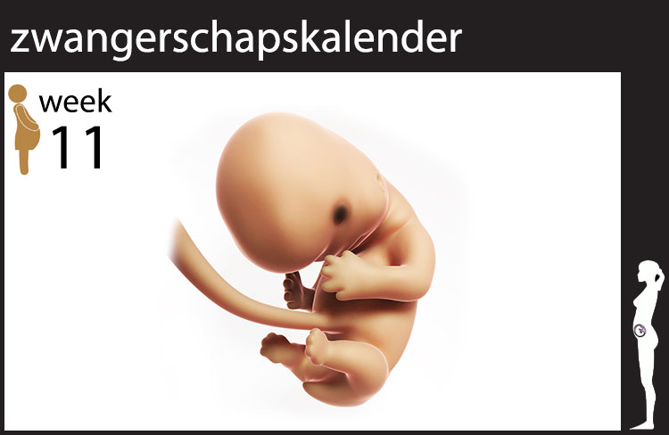 Blog header image