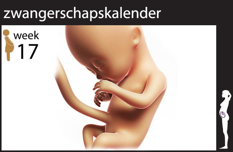 Blog header image