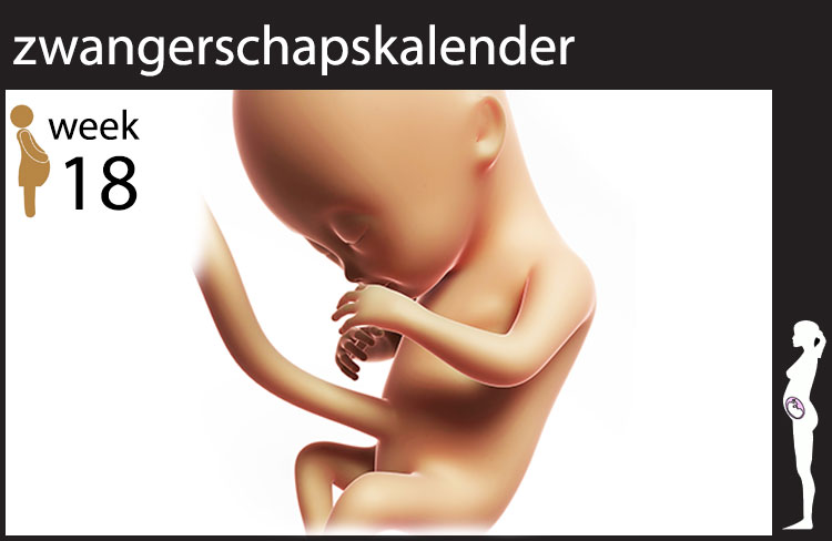 Blog header image