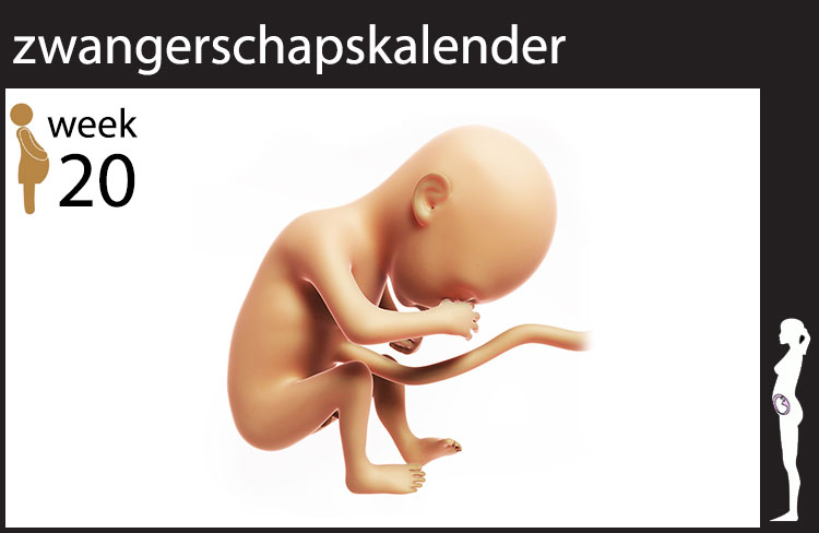 Blog header image