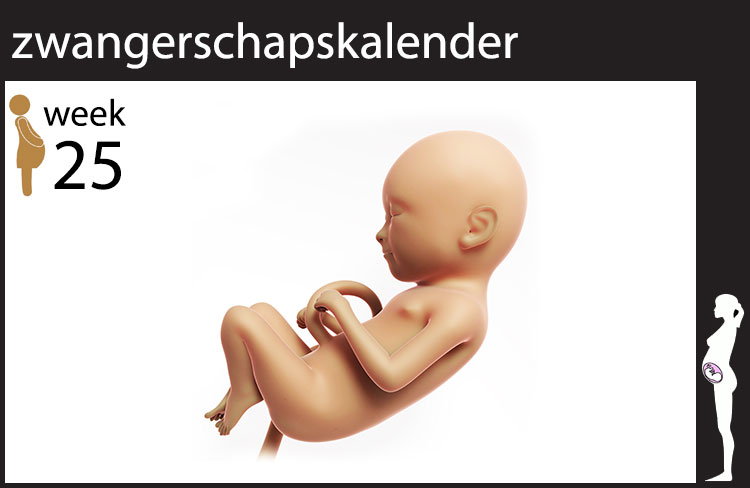 Blog header image